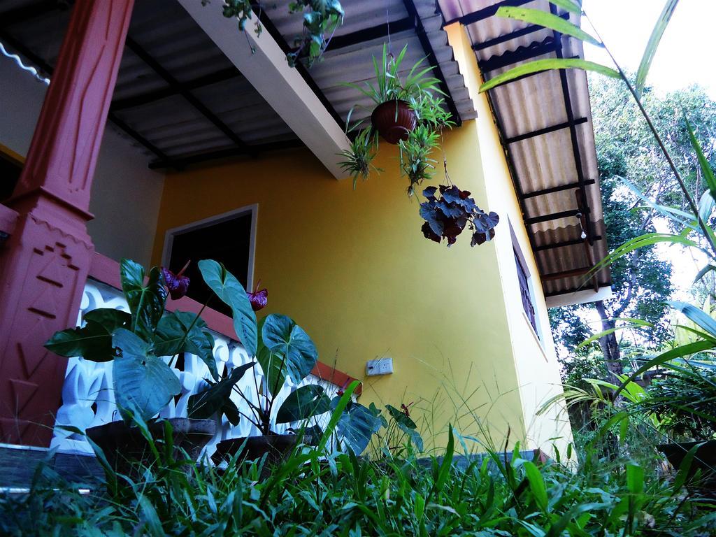 Sigiri Sithru Home Stay Sigiriya Eksteriør billede