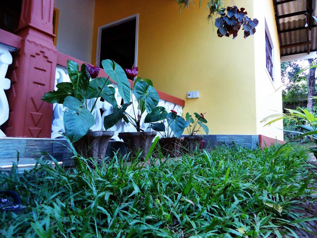 Sigiri Sithru Home Stay Sigiriya Eksteriør billede